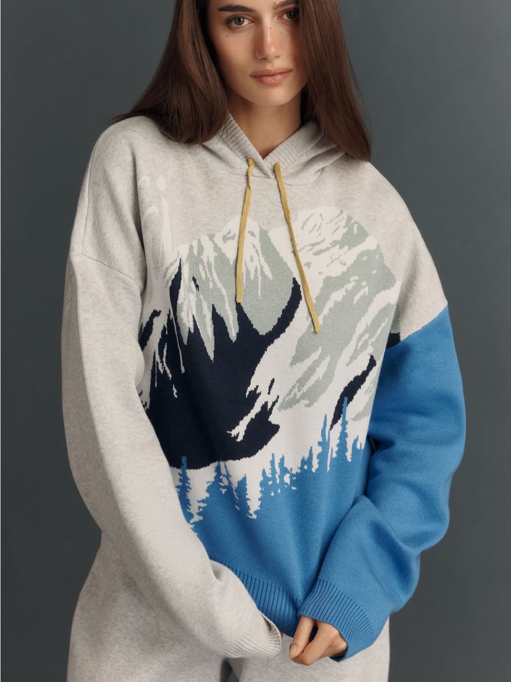 Daily Practice Graphic Hoodie, Mountain View Winter